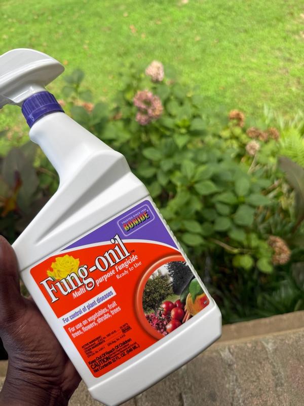 Bonide Fung-onil Multi-Purpose Fungicide Spray - 32 oz Ready-to-Use for ...