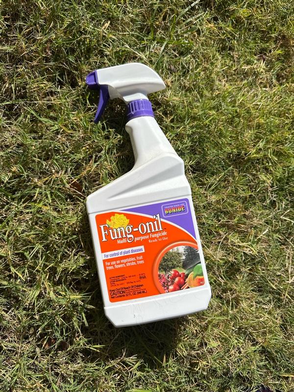 Bonide Fung-onil Multi-Purpose Fungicide Spray - 32 oz Ready-to-Use for ...