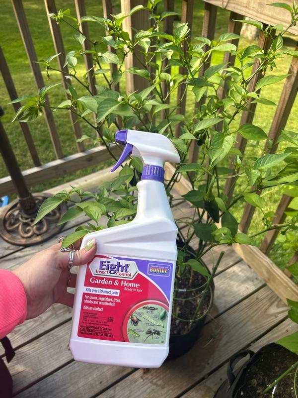Bonide Eight YardandGarden Insect Killer Liquid 32 oz in the Insect ...