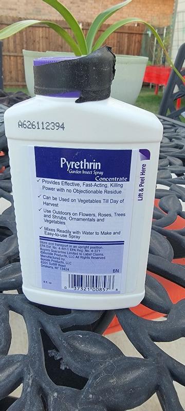 Bonide Pyrethrin Garden Insect Spray Concentrate 8 oz Fast Acting ...