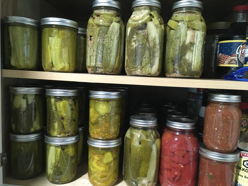 Dill, bread & butter, spicy dill, and kosher dills