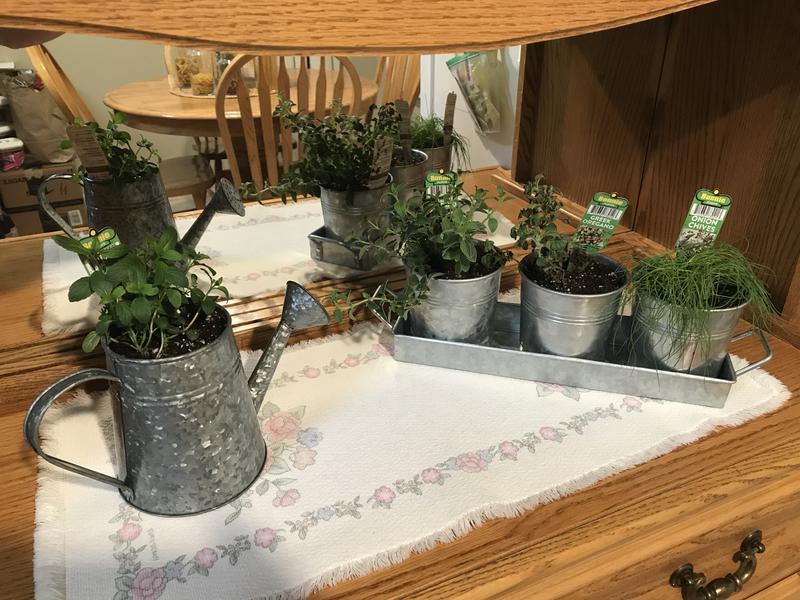 Herbs