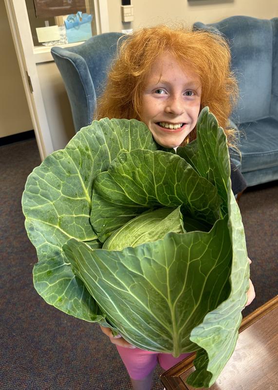 Child holding Bonnie Hybrid Cabbage