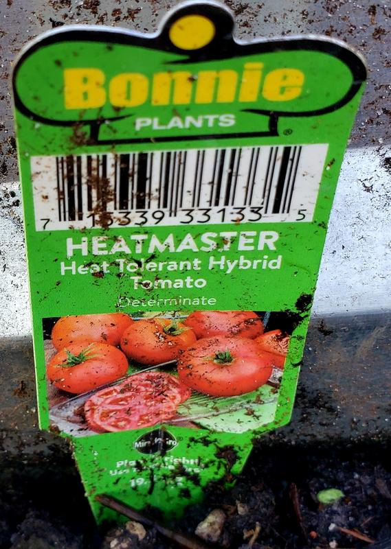 Heatmaster tomato