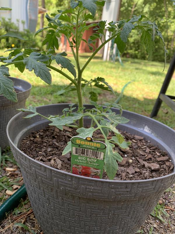 Older picture before they started producing