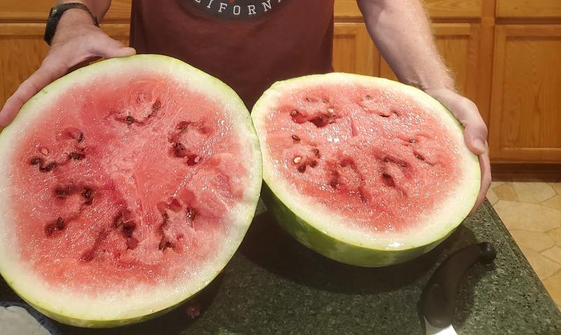 It tastes even better than it looks!!