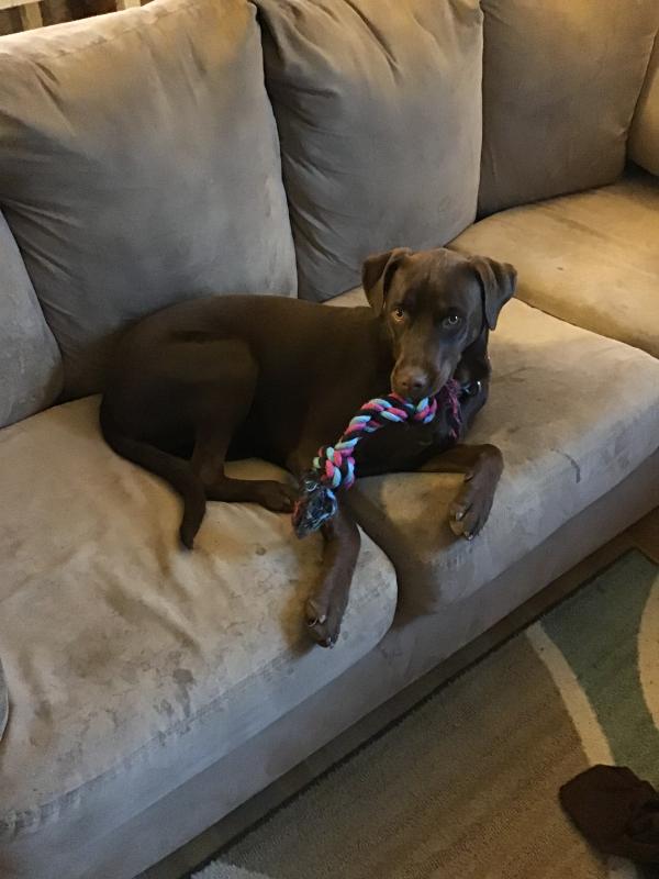 Customer photo 4 of 4. Click to open full size image.