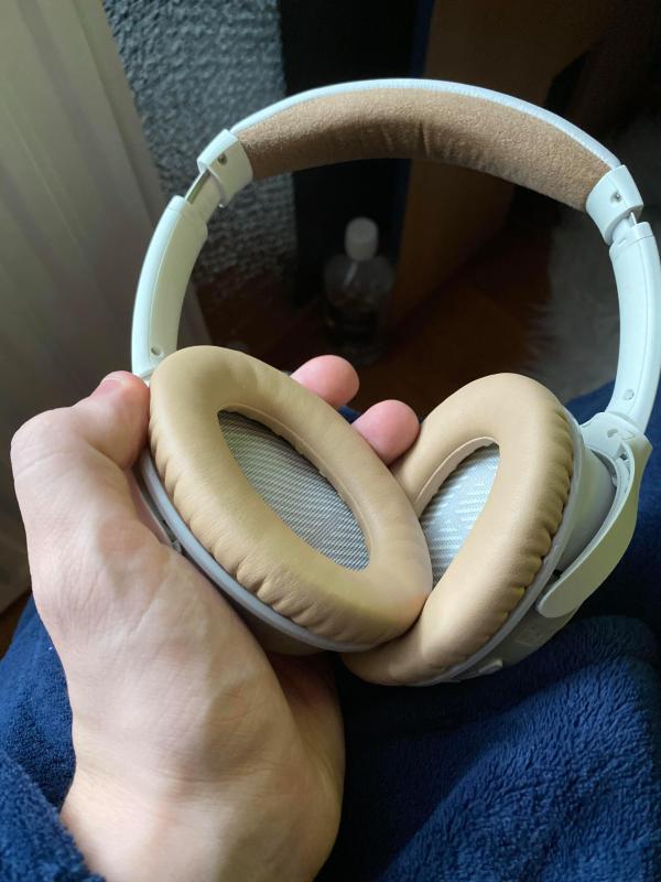 bose circum aural