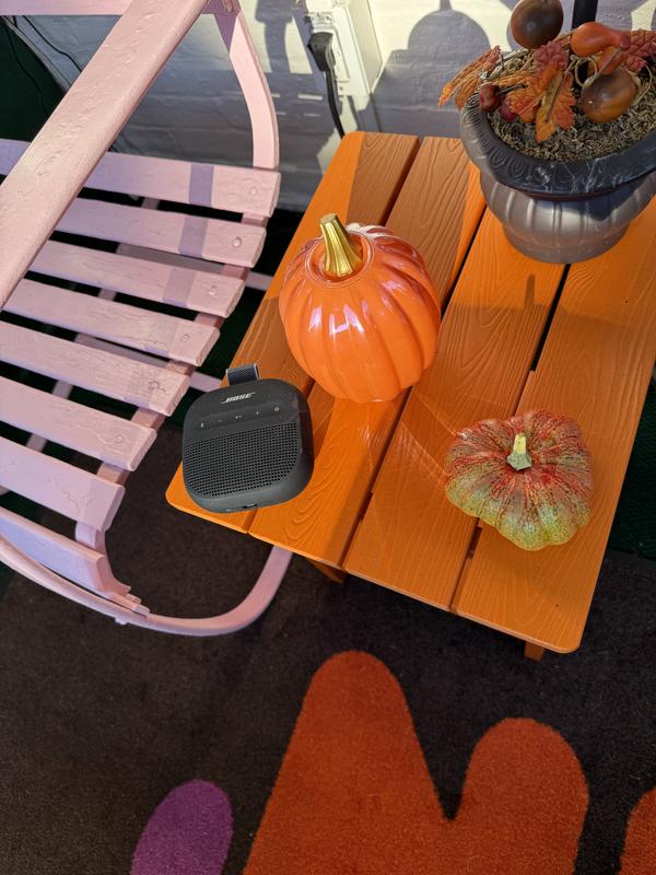 I take my Bose SoundLink Micro Portable Speaker everywhere!