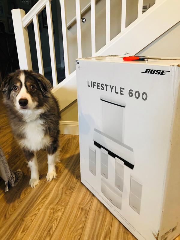 bose home theater lifestyle 600
