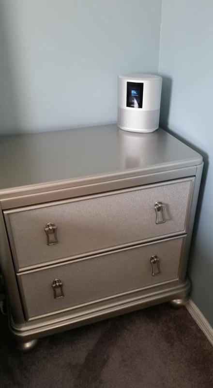 bose home speaker 500 silver