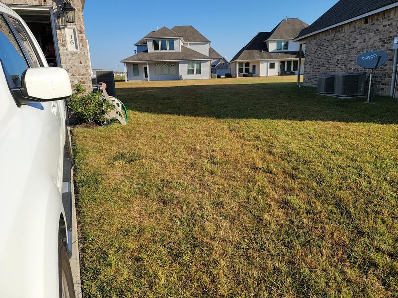 Side yard after couple weeks.