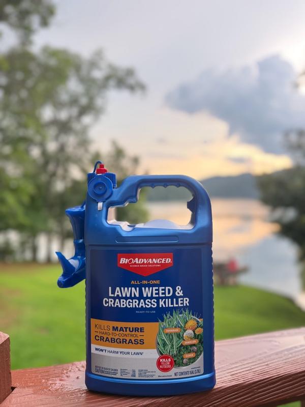 BIOADVANCED 32 oz. Concentrate All-in-One Lawn Weed and Crabgrass