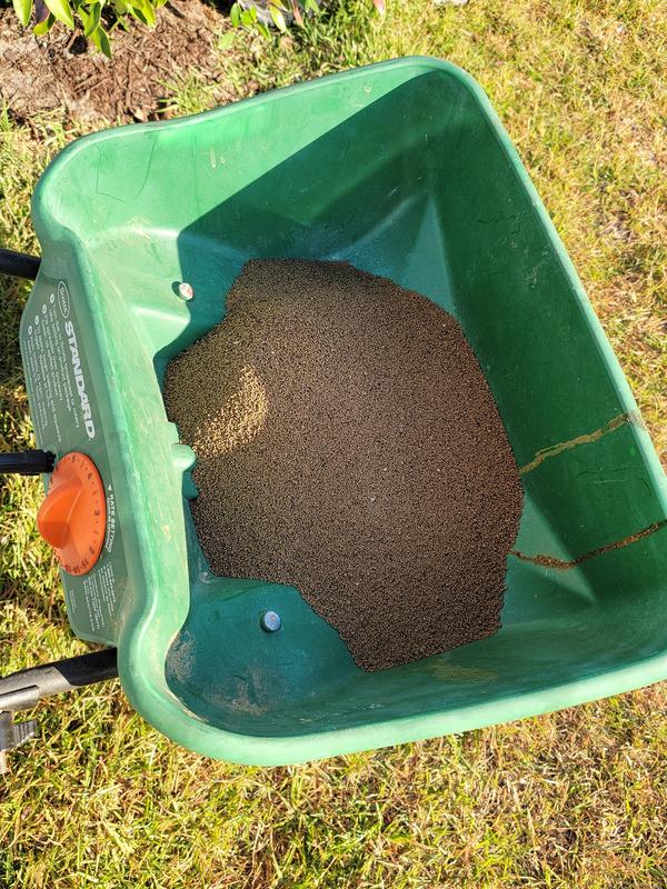 Used a Broadcast spreader!