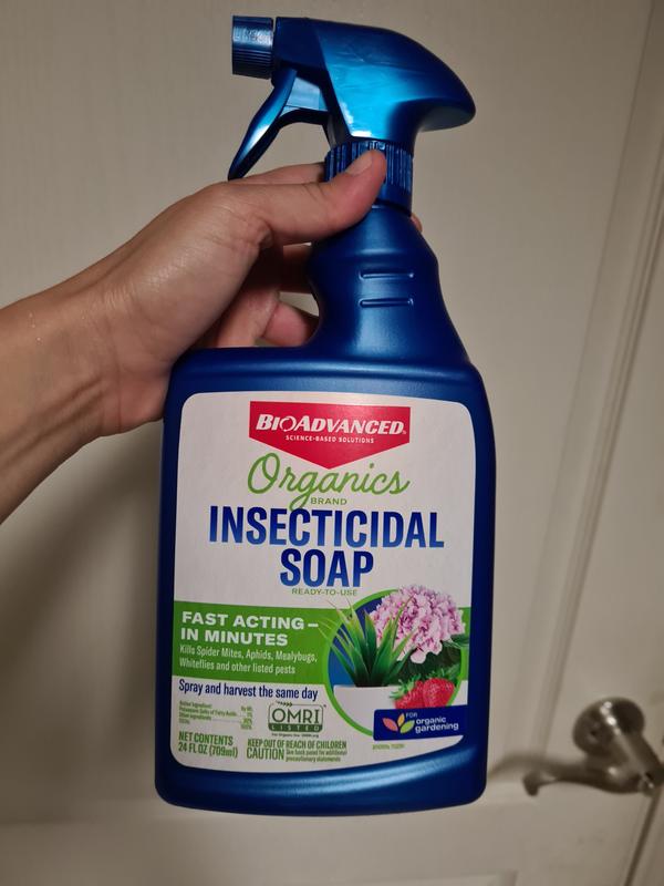 Garden Safe Insecticidal  Soap Insect Killer - 24 fl oz bottle