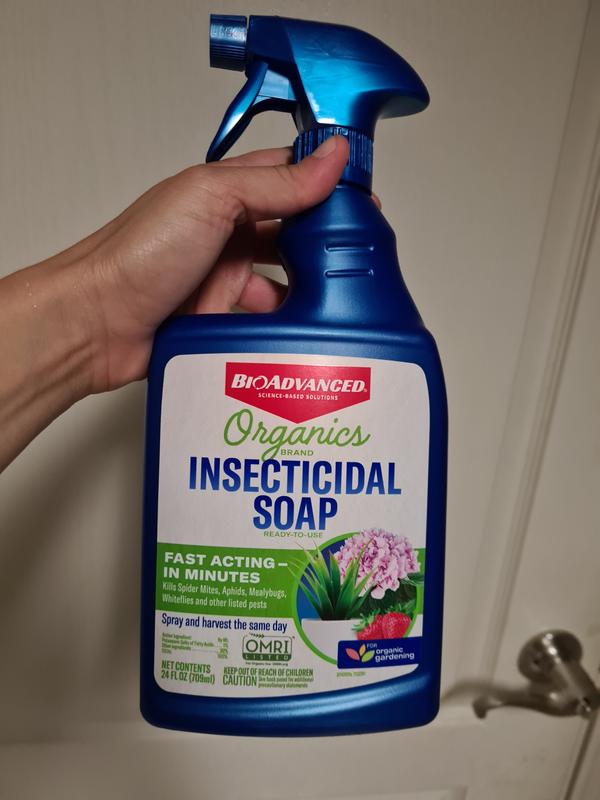 Garden Safe Insecticidal Soap 24-fl oz Garden Insect Killer Trigger Spray