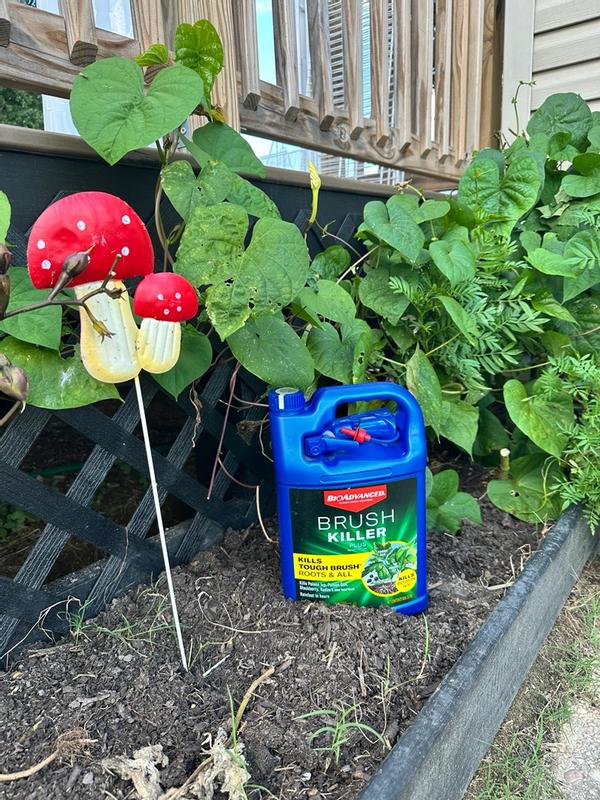 BioAdvanced Brush Killer Plus Ready-to-Use Sprayer 1 Gal Kills
