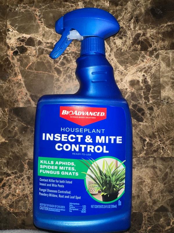 Houseplant Insect & Mite Control