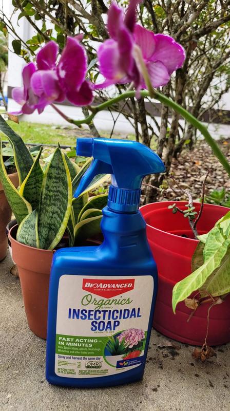 Organics Brand Insecticidal Soap, Ready-to-Use, 24 oz