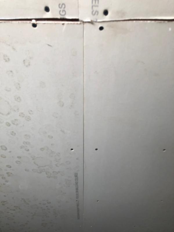 Left side left untreated, Right side is BioAdvanced used