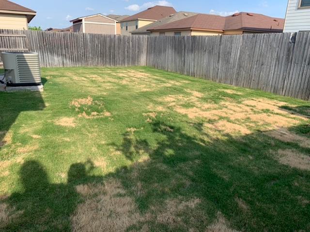 After Treatment 8 days later