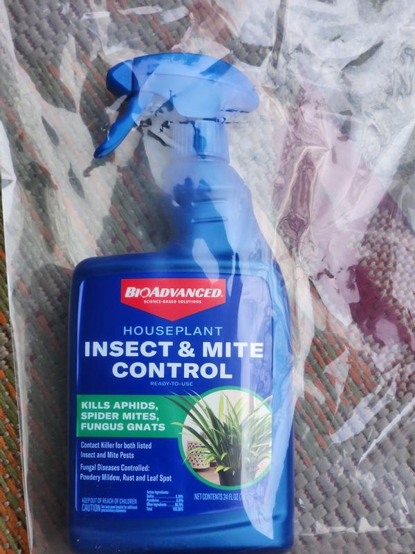 Houseplant Insect & Mite Control