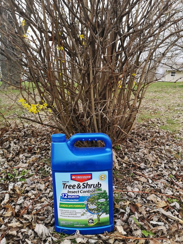 Minimizes and helps our plants