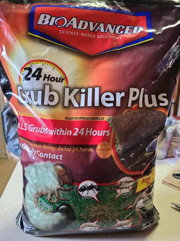 Controlling Lawn Grubs With The Best Grub Killer, 41 OFF