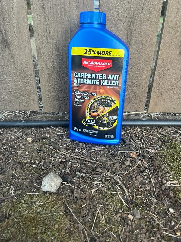 Carpenter Ant & Termite Killer Plus Concentrate | Bioadvanced
