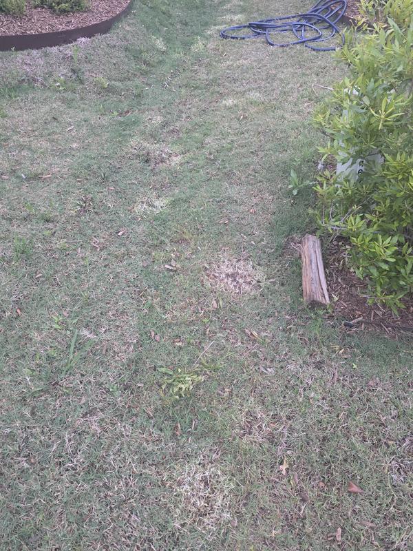 Review photo 7.