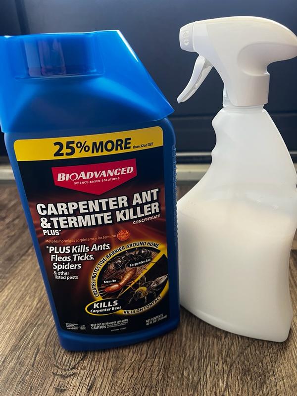 Carpenter Ant & Termite Killer Plus Concentrate | Bioadvanced