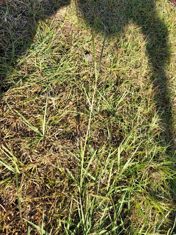 Can't kill them all for some reason. so frusting!