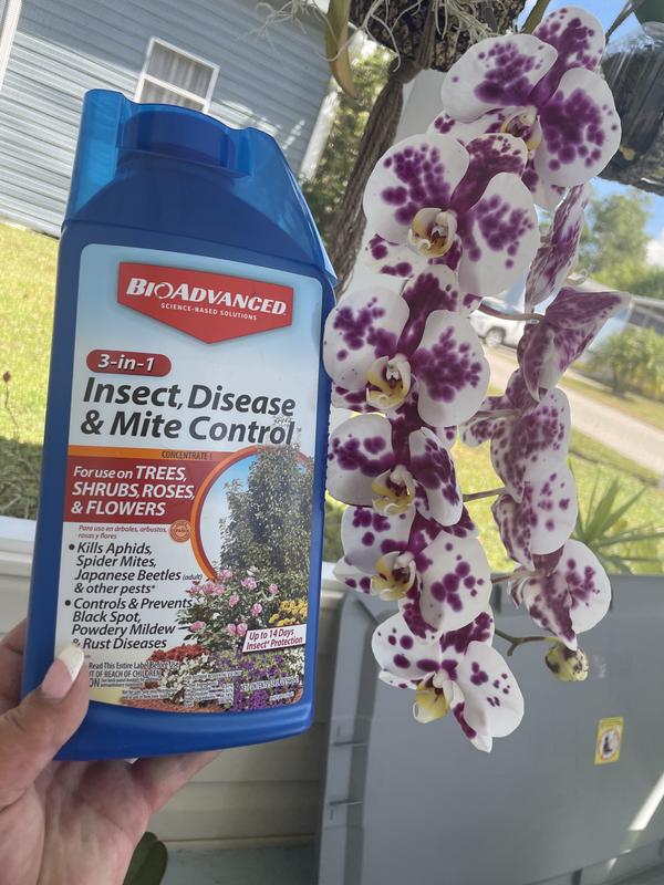 BioAdvanced saved my Orchids