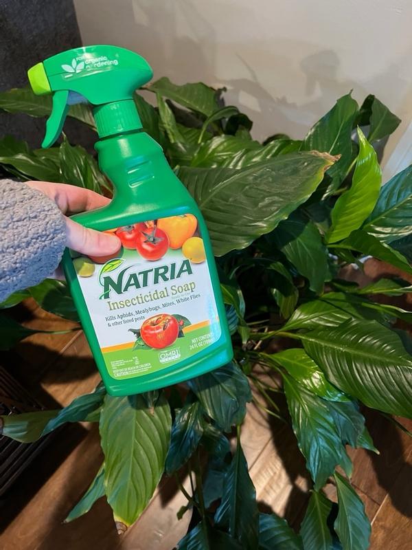 NATRIA Insecticidal Soap, Ready-to-Use, 24 oz