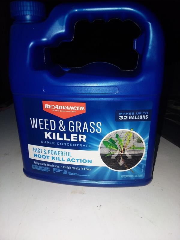 BIOADVANCED 64 oz. Super Concentrate Weed And Grass Killer 704196A - The Home  Depot