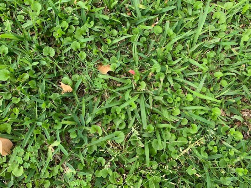 Review photo 6.