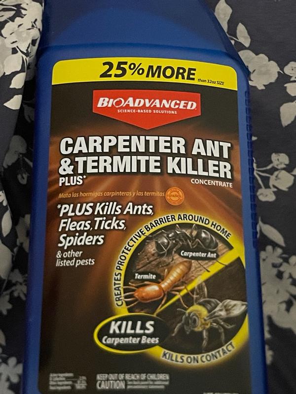 Carpenter Ant & Termite Killer Plus Concentrate | Bioadvanced