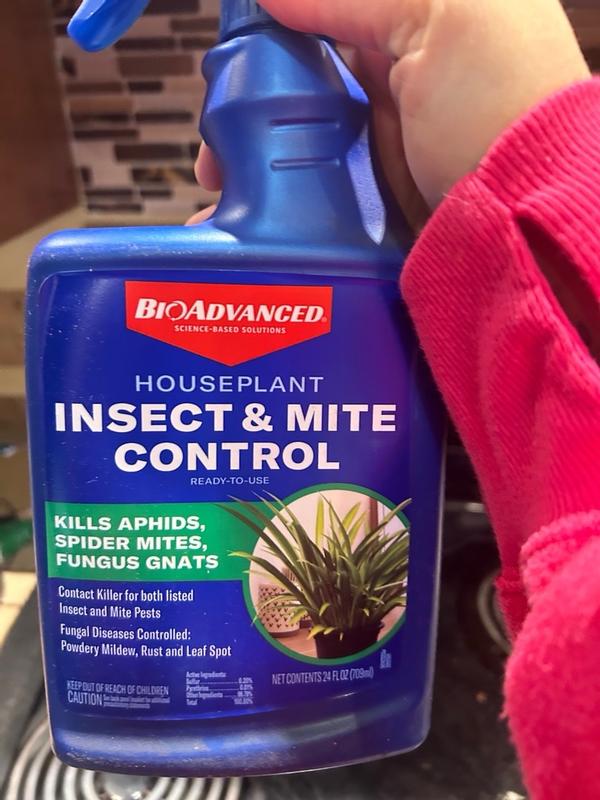 Houseplant Insect & Mite Control