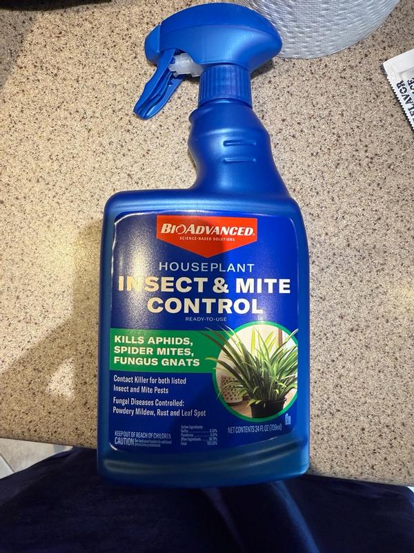Houseplant Insect & Mite Control