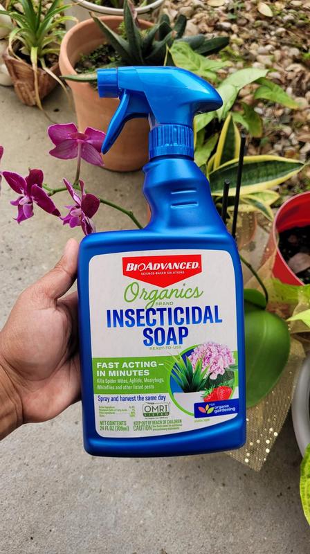 Organics Brand Insecticidal Soap, Ready-to-Use, 24 oz
