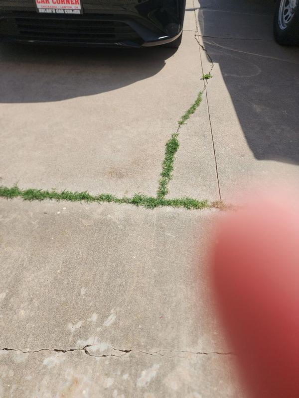 Review photo 1.