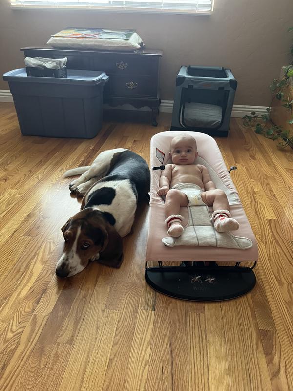 BABYBJORN® Bouncer Balance Soft in Ice Blue Fish/Mesh Bed Bath & Beyond