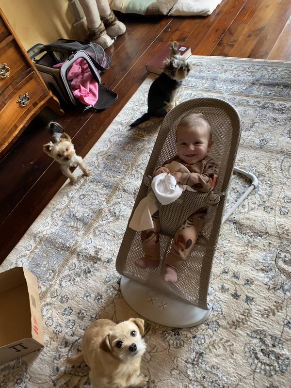 BABYBJORN® Bouncer Bliss in Navy Blue Mesh Bed Bath & Beyond