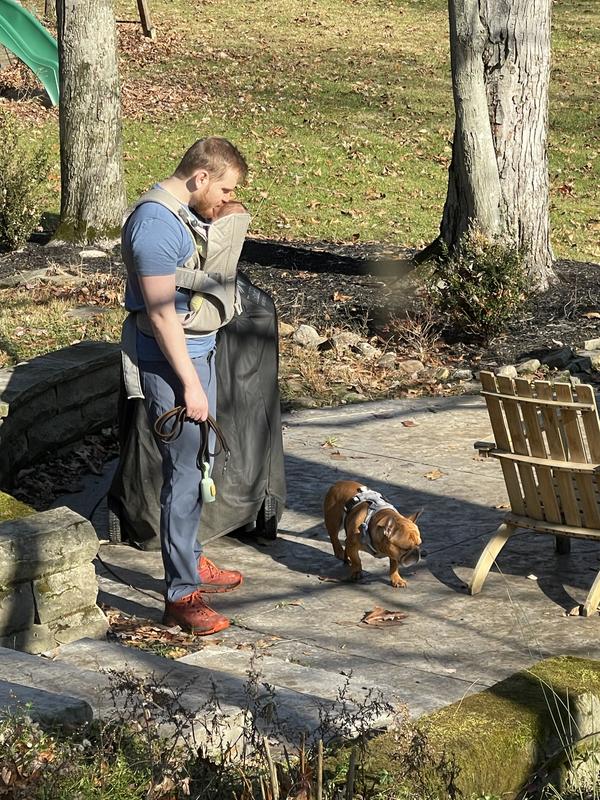 Husband walking the dog with our baby