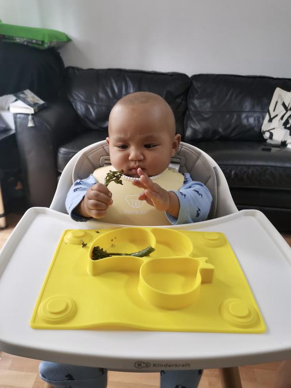 BABYBJORN® Soft Bib 2Pack in Pink/Green Bed Bath and Beyond Canada