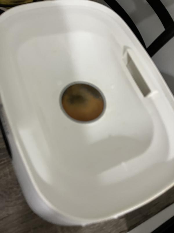 Baby Brezza® One Step Advanced Baby Bottle Sterilizer Dryer in White