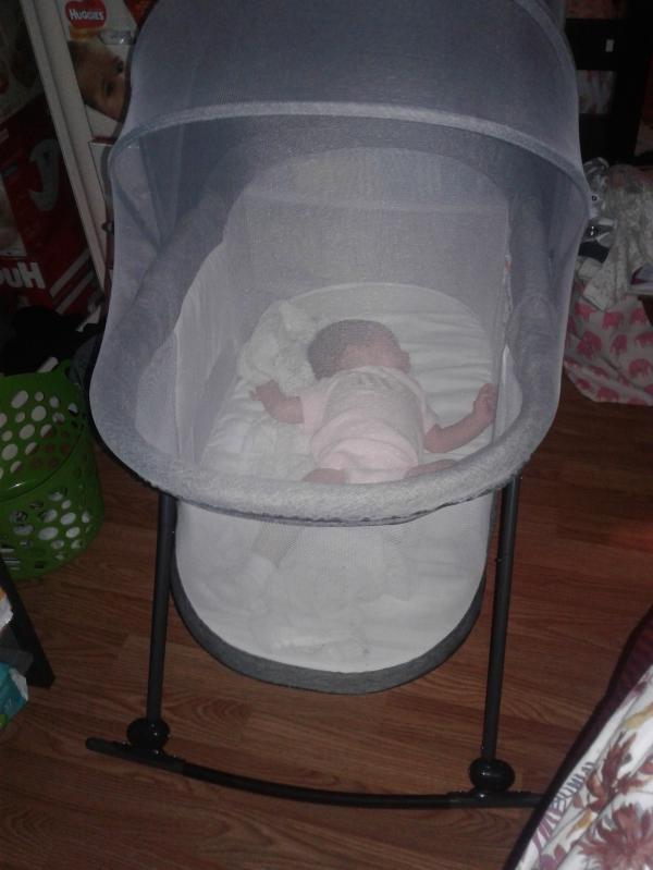 baby delight go with me slumber portable rocking bassinet