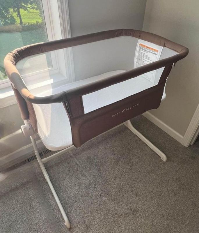 Baby delight bassinet reviews deals