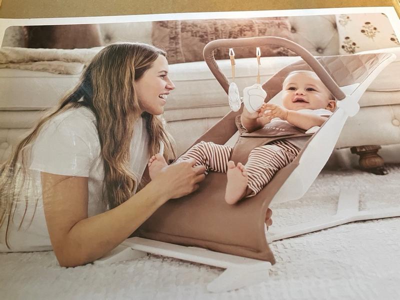 Alpine Deluxe Portable Bouncer