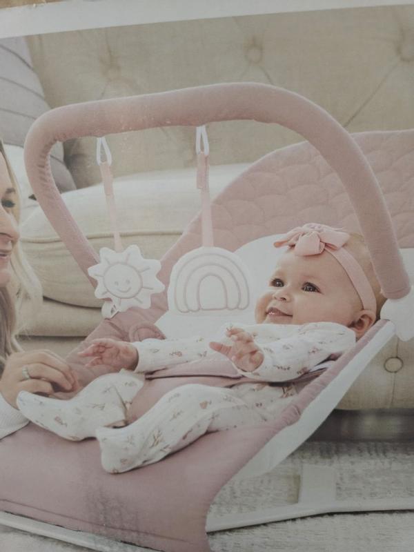 Alpine Organic Deluxe Portable Bouncer